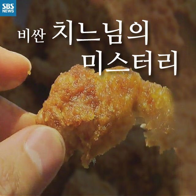 메인이미지  1 : 
