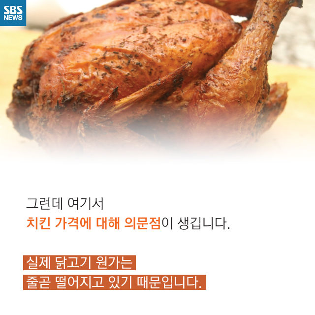 메인이미지  5 : 