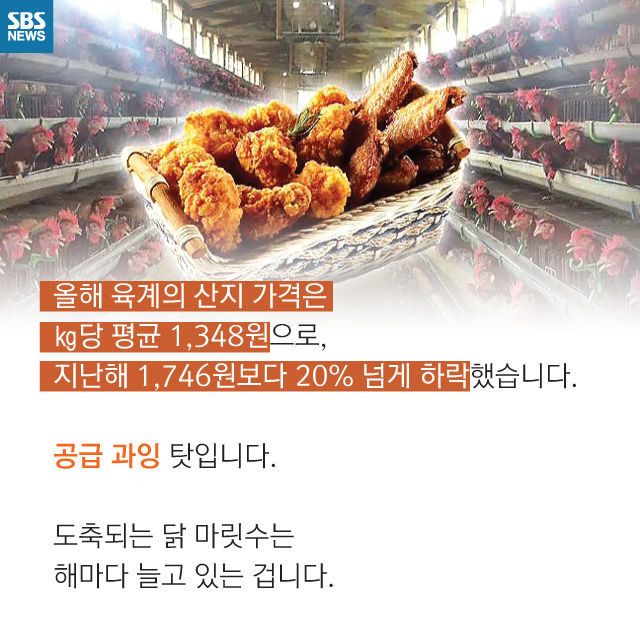 메인이미지  6 : 