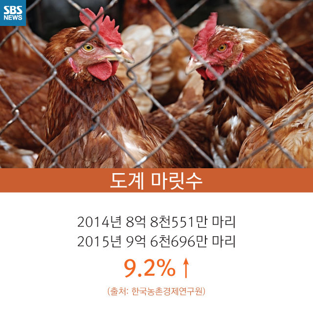 메인이미지  7 : 