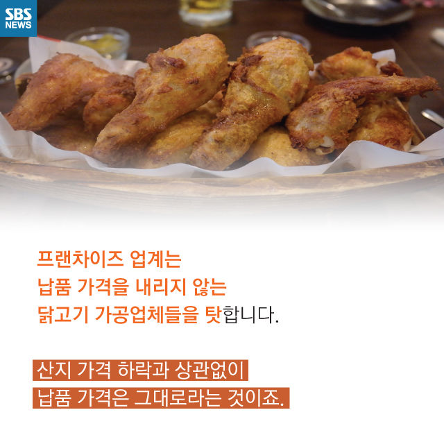 메인이미지  9 : 