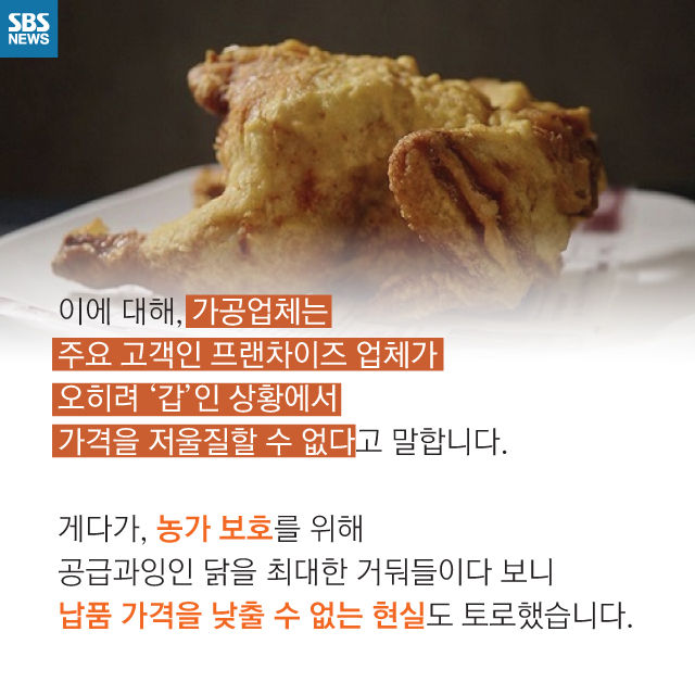 메인이미지  10 : 