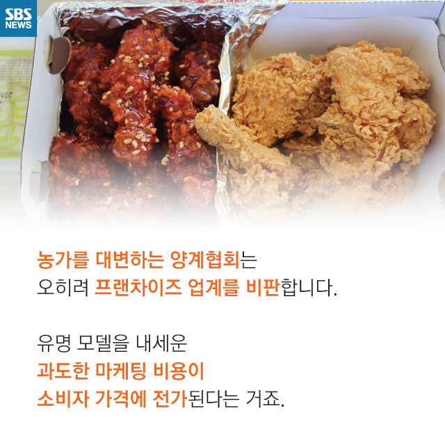 메인이미지  11 : 