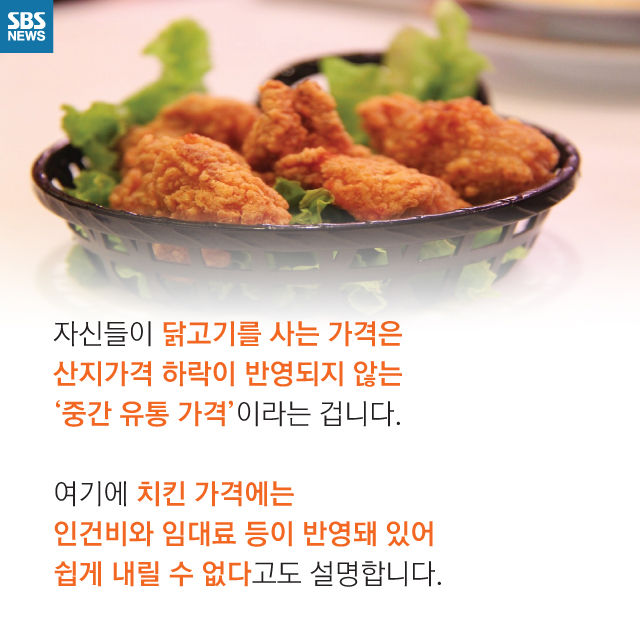 메인이미지  13 : 