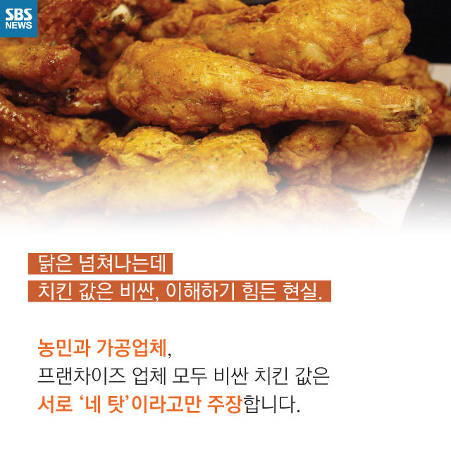 메인이미지  14 : 
