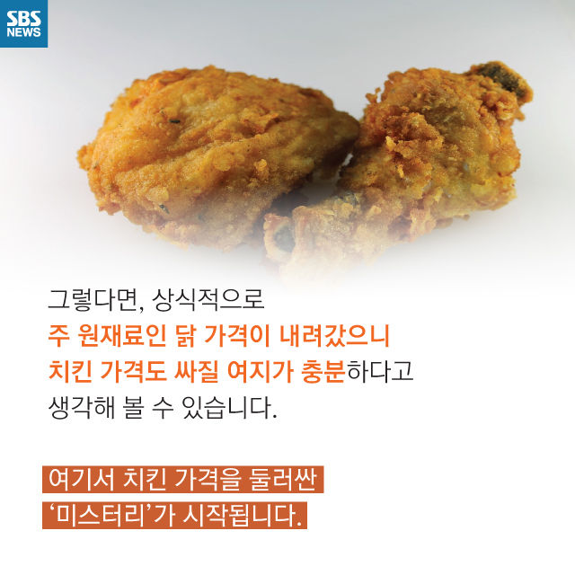 메인이미지  8 : 