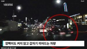 [비디오머그] "왜 경적 울려?" 끼어들곤 되레 협박&hellip;난폭 외국인 운전자