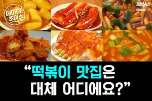 '공정하게 평가했다!'&hellip;스브스가 알려주는 떡볶이 맛집 'TOP10'
