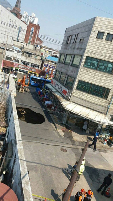 메인이미지  1 : (사진 제보=윤정은)