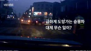 만취 도주 끝 하필이면 파출소로&hellip;'셀프 체포'