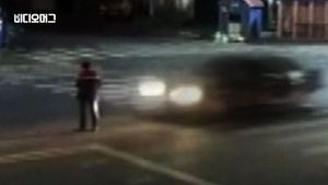 [비디오머그] 도로 한복판에 우뚝 선 男&hellip;달리던 차에 '참변'