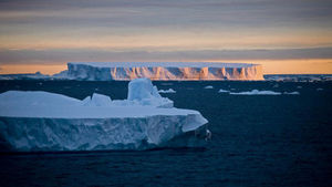 [취재파일] 겨울 춥다더니 실제론 '따뜻'&hellip;포근한 봄은 올까?