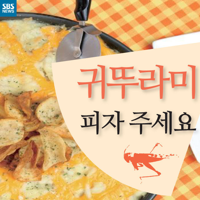 메인이미지  1 : 