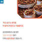 섬네일이미지  4: