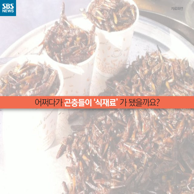 메인이미지  6 : 