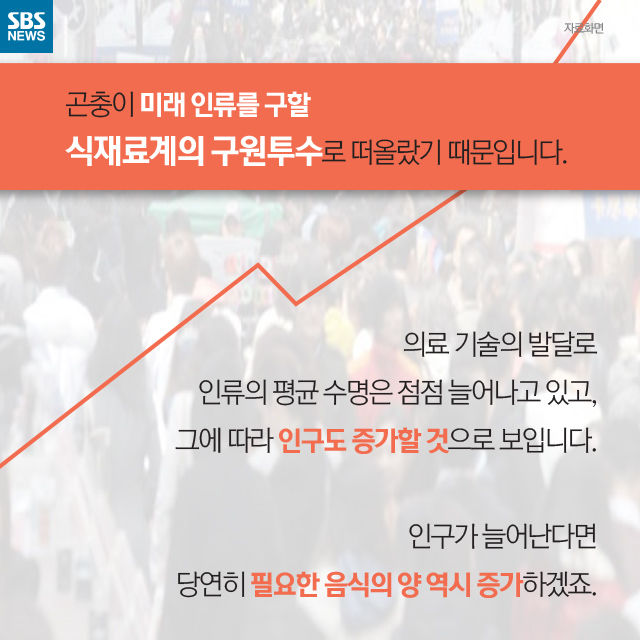 메인이미지  7 : 