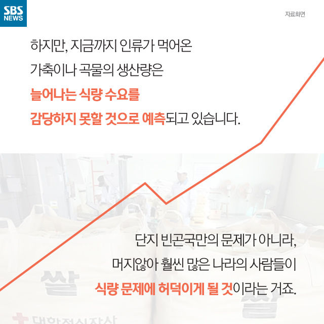 메인이미지  8 : 
