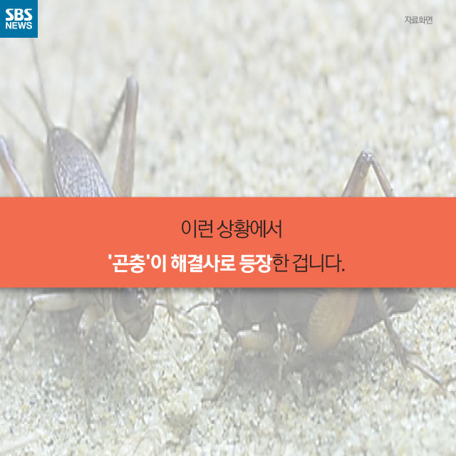 메인이미지  9 : 