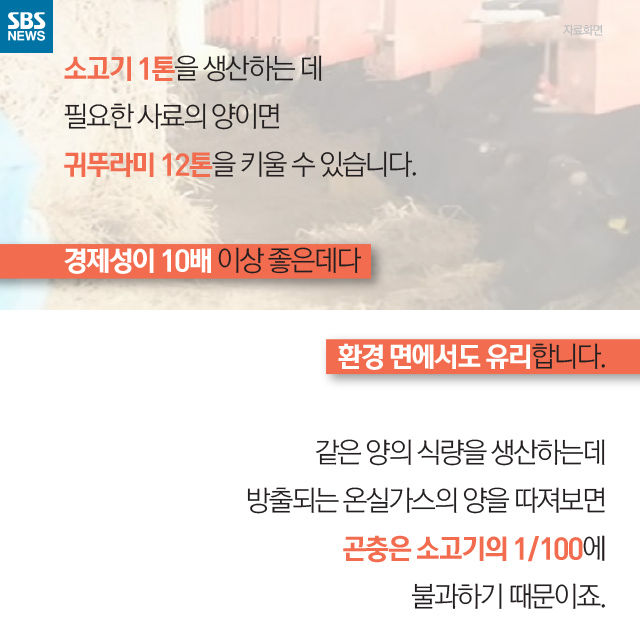 메인이미지  10 : 