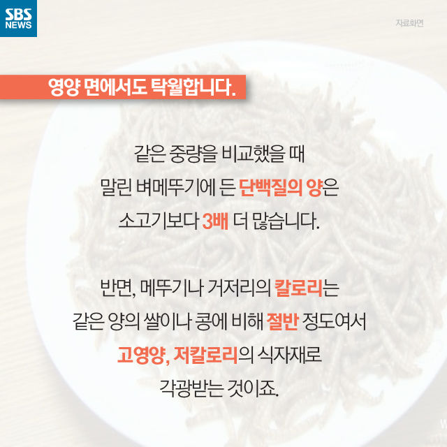 메인이미지  11 : 