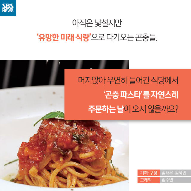 메인이미지  12 : 