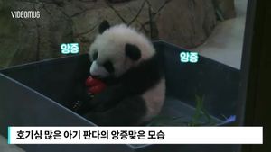 '혼자서도 잘해요'&hellip;씻고 노는 깜찍한 판다들 포착