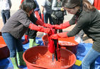 섬네일이미지  1: