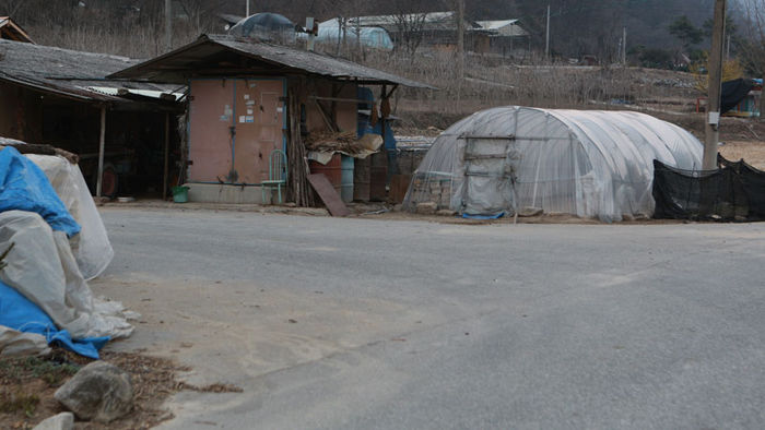 메인이미지  2 : 사진은 사건이 발생한 원주시 부론면 마을 한복판 도로.