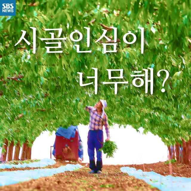 메인이미지  1 : 