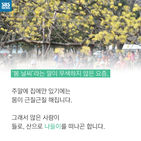 섬네일이미지  2: