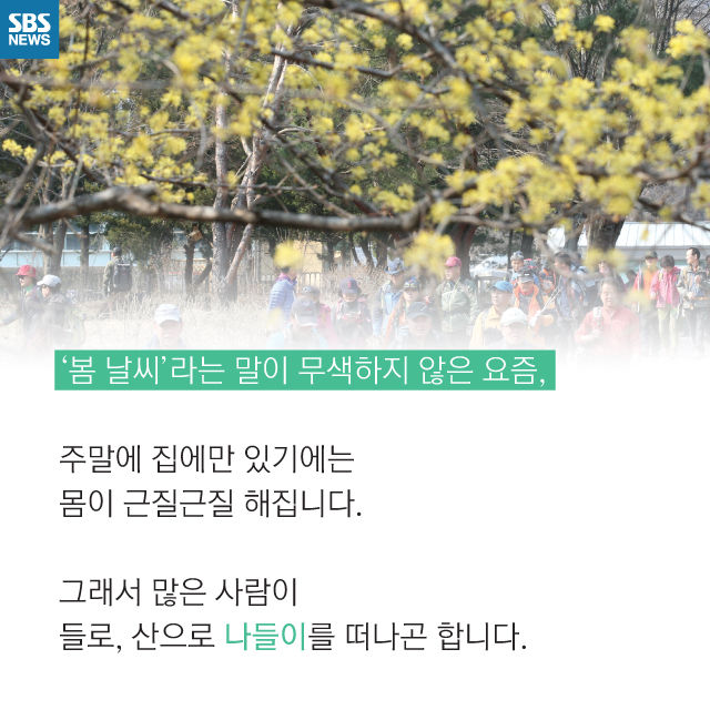 메인이미지  2 : 