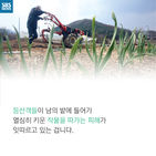 섬네일이미지  5:
