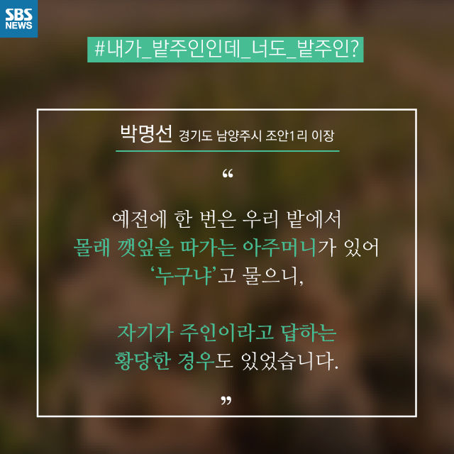 메인이미지  6 : 