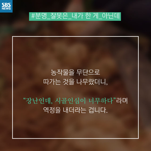 메인이미지  8 : 
