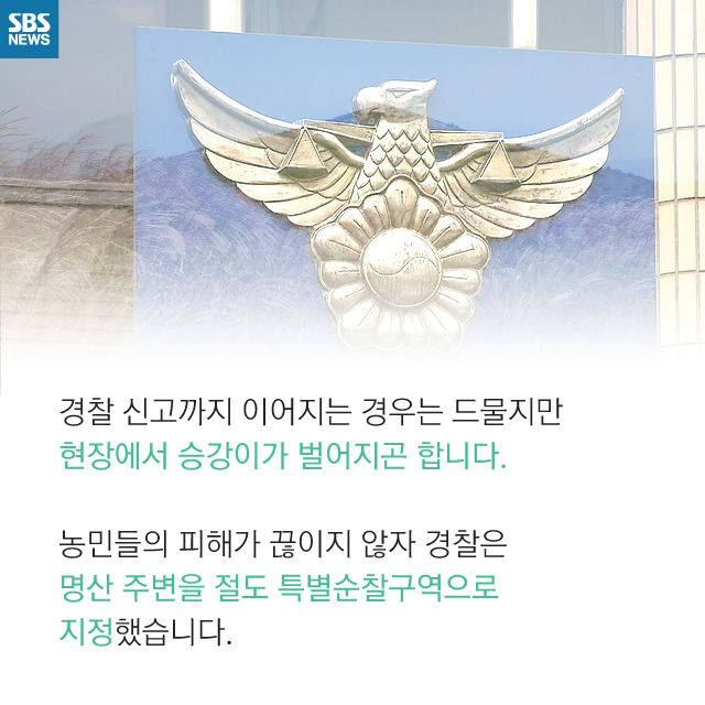 메인이미지  9 : 