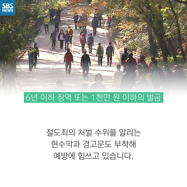 메인이미지  10 : 