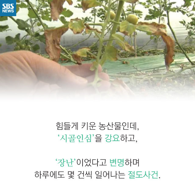 메인이미지  11 : 
