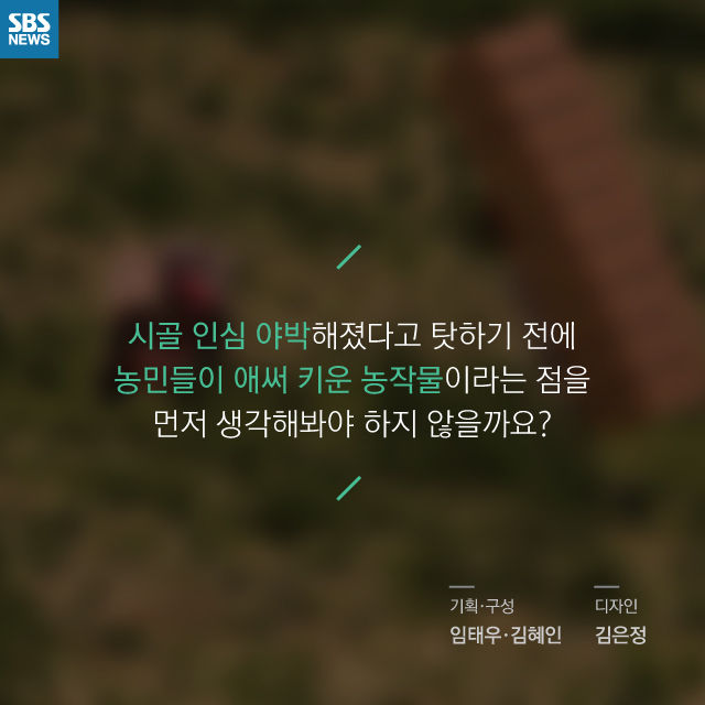 메인이미지  12 : 