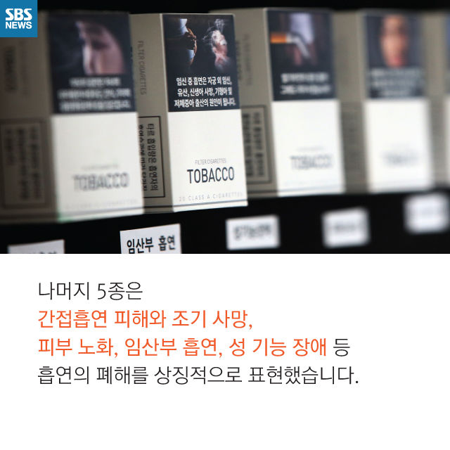 메인이미지  4 : 