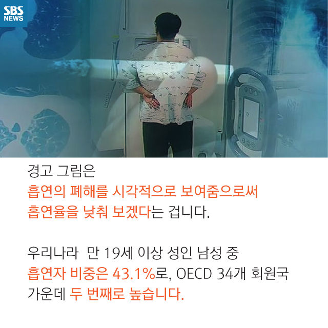 메인이미지  5 : 