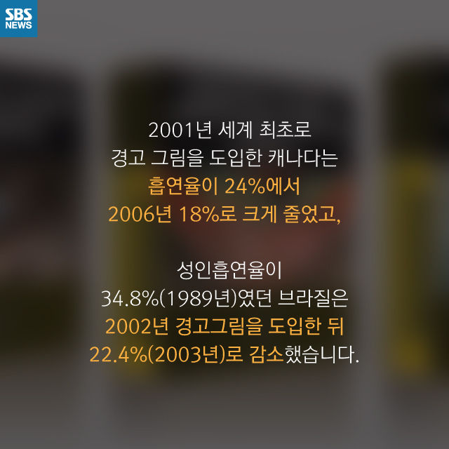 메인이미지  11 : 