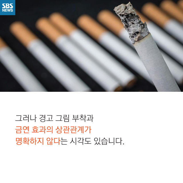 메인이미지  12 : 