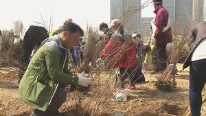 인구 3백만 시대 '나무 3백만 그루 심기'