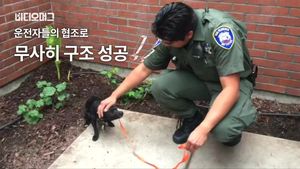 고속도로, 추격전, 성공적&hellip;도로 위 치와와 구한 美 경찰