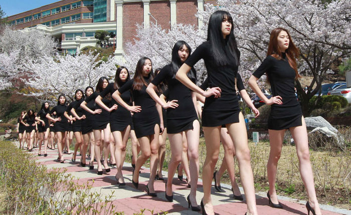 메인이미지  2 : 5일 오후 대전 유성구 대덕대학에서 이 학교 모델학과 학생들이 벚나무 아래에서 야외 수업을 하며 워킹을 하고 있다.