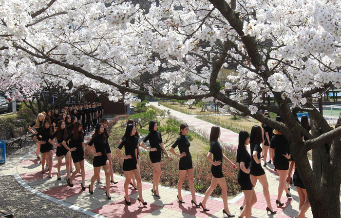 메인이미지  3 : 5일 오후 대전 유성구 대덕대학에서 이 학교 모델학과 학생들이 벚나무 아래에서 야외 수업을 하며 포즈를 잡고 걷고 있다.