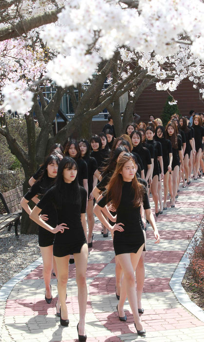메인이미지  4 : 5일 오후 대전 유성구 대덕대학에서 이 학교 모델학과 학생들이 벚나무 아래에서 야외 수업을 하며 포즈를 잡고 걷고 있다.