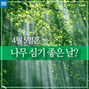 [카드뉴스] "식목일에 심은 나무는 죽는다?"&hellip;나무 심기 날짜 논쟁
