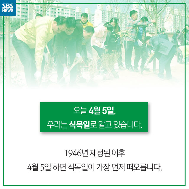 메인이미지  2 : 