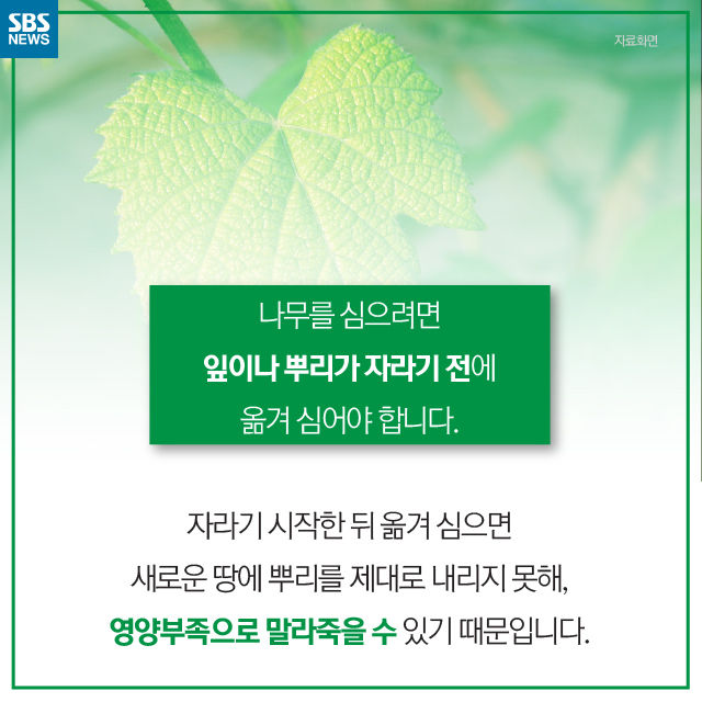 메인이미지  4 : 